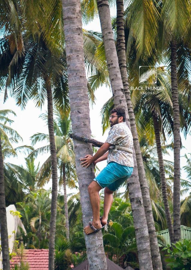 Avana Resort Mettuppalaiyam  Luaran gambar