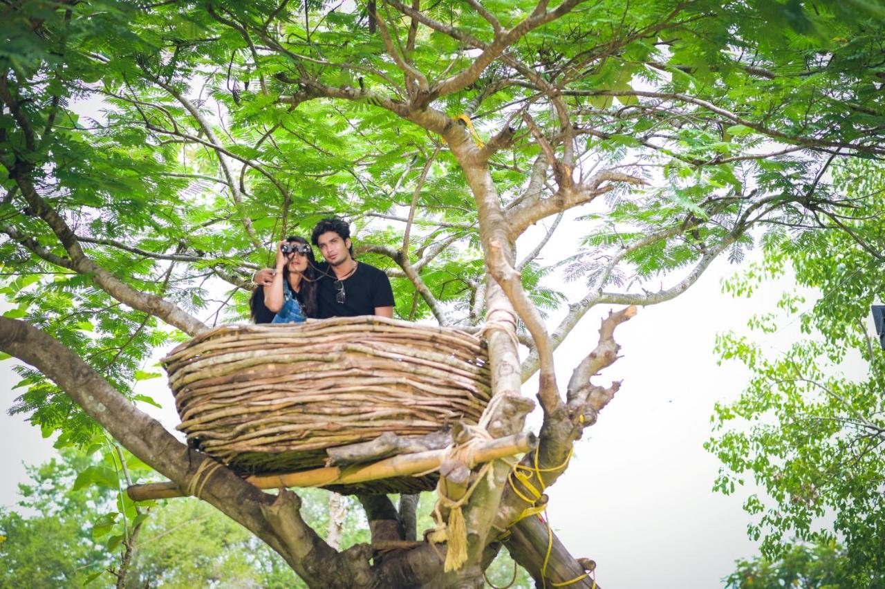 Avana Resort Mettuppalaiyam  Luaran gambar